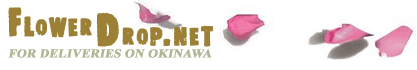 flower.net logo image